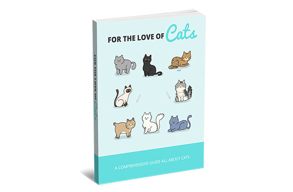 Para o Amor dos Gatos