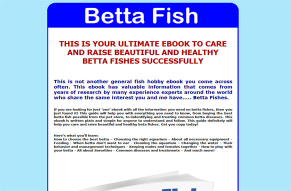 Betta Fish